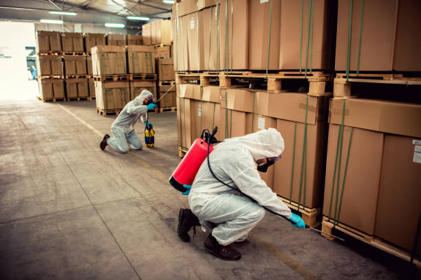 Best Insect Control  in Huntington Beach, CA