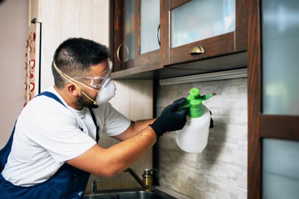 Best Pest Inspection Near Me  in Huntington Beach, CA