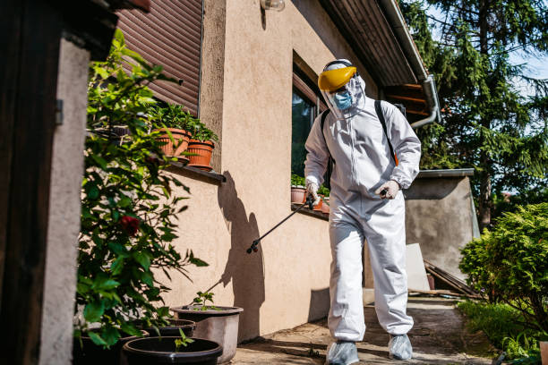 Best Affordable Pest Control Services  in Huntington Beach, CA