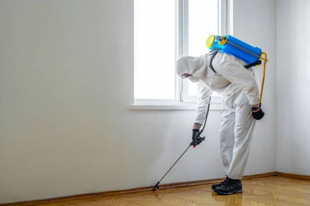 Pest Control Cost in Huntington Beach, CA