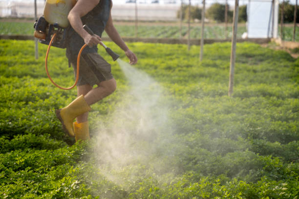 Best Emergency Pest Control  in Huntington Beach, CA