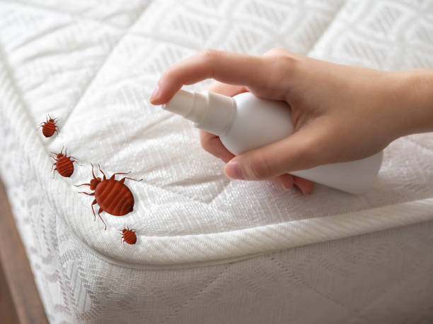 Best Commercial Pest Control Services  in Huntington Beach, CA