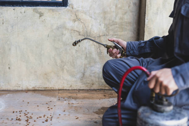 Professional Pest Control in Huntington Beach, CA