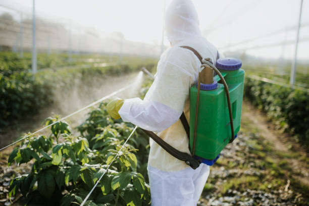Best Pest Prevention Services  in Huntington Beach, CA